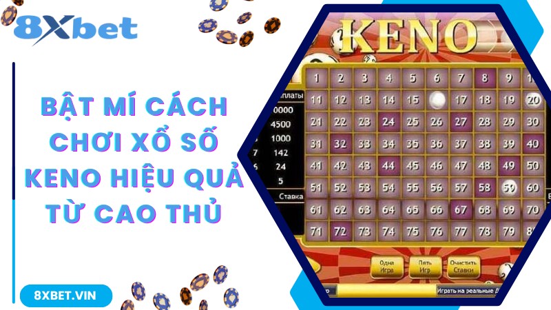Hướng Dẫn Cách Chơi Xổ Số Keno Thắng Quả Đậm Tại 8Xbet 3 Bật mí cách chơi xổ số Keno hiệu quả từ cao thủ